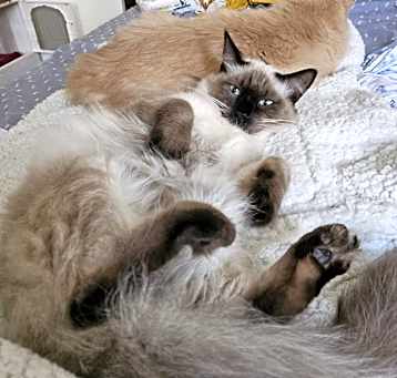 Photo of Sassy
