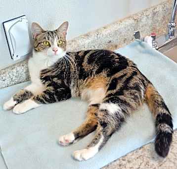 Photo of SALSA