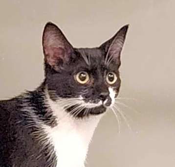 Photo of Meredith