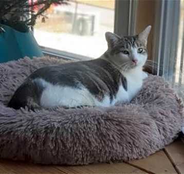 Photo of Harold