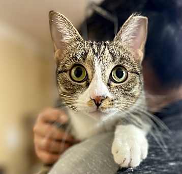 Photo of Ferrah