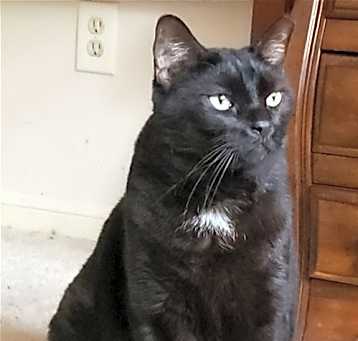 Photo of Julian