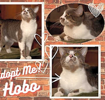 Photo of HOBO