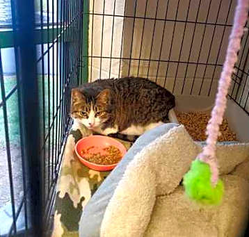 Photo of Itty Bitty