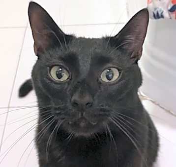 Photo of Spike