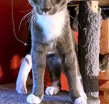 Photo of Lumiere