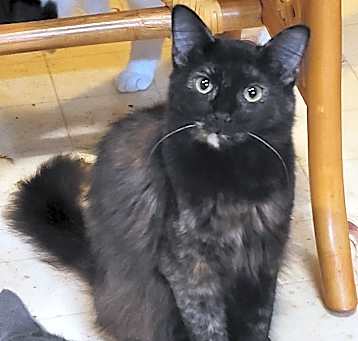 Photo of Jill