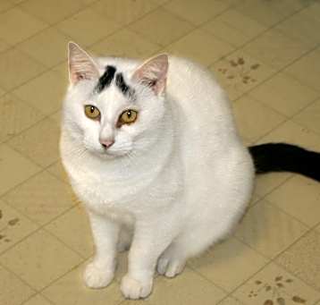 Photo of Delilah