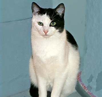 Photo of JR