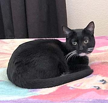 Photo of Padme