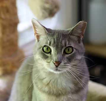 Photo of Allie