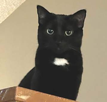 Photo of Sabrina