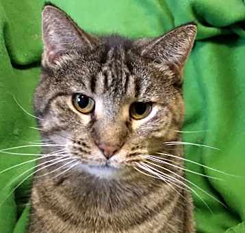 Photo of Muriel