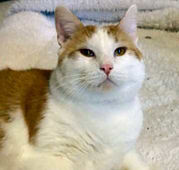 Photo of Tom Tom