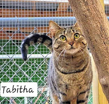 Photo of Tabitha