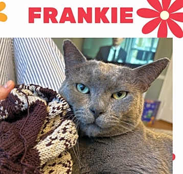 Photo of Frankie