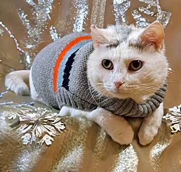 Photo of Gretel