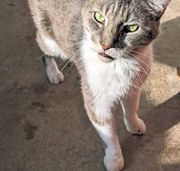 Photo of Chauncey