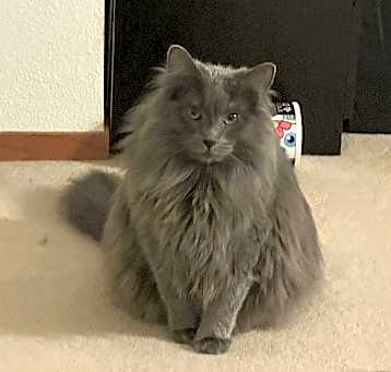 Photo of Walker