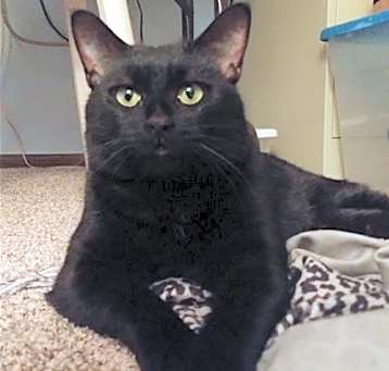 Photo of Gracie Lynn