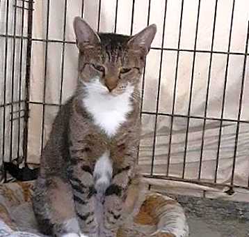 Photo of Sabrie