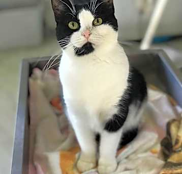 Photo of Molly