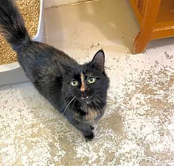 Photo of Cleo