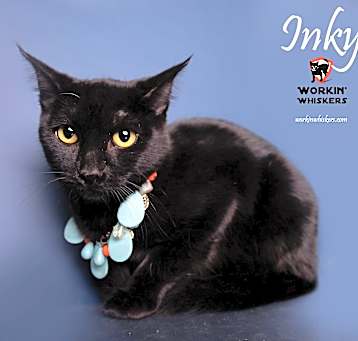 Photo of INKY