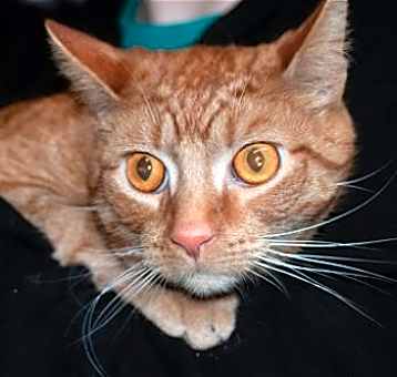 Photo of Colby