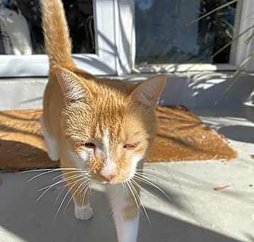 Photo of Kassie