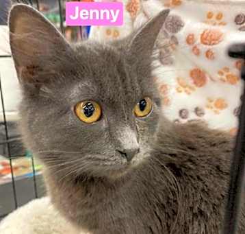Photo of Jenny