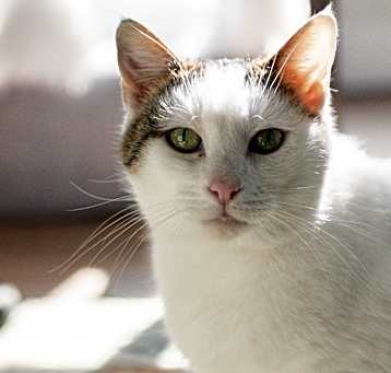 Photo of Chloe