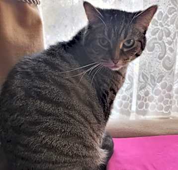 Photo of MeiMei