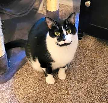 Photo of Candy Bean