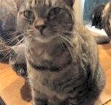 Photo of Tia