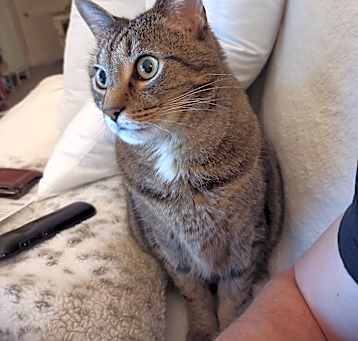 Photo of Boo