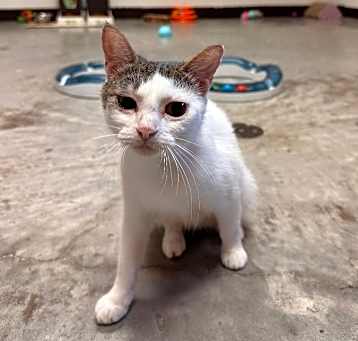 Photo of Mama Cassie