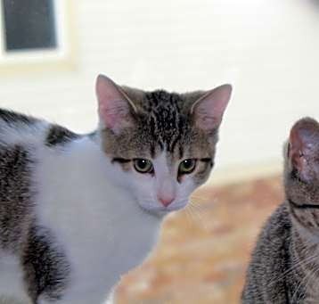Photo of Cali & Joey