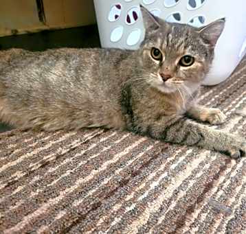 Photo of Hera