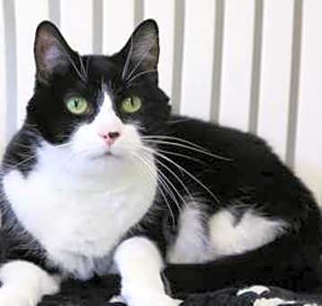 Photo of Malachi
