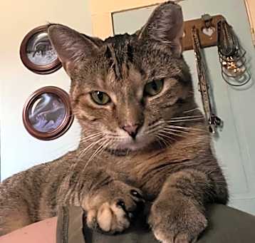 Photo of Uni -Felv+