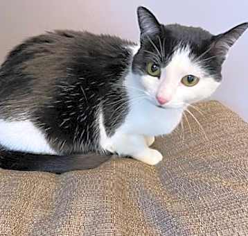 Photo of Lulu Belle