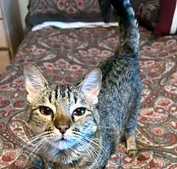 Photo of Wendy