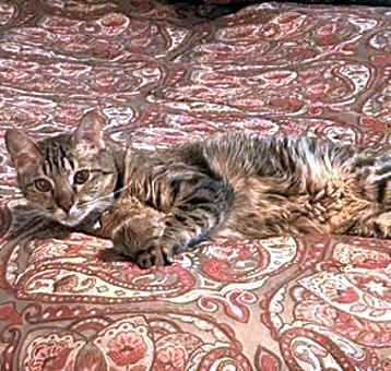 Photo of Wendy