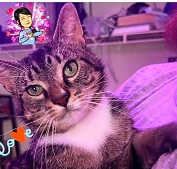 Photo of Tommy