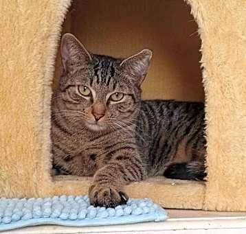 Photo of Winston