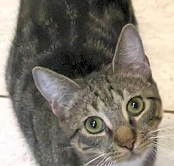 Photo of Ryder