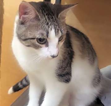 Photo of Charo