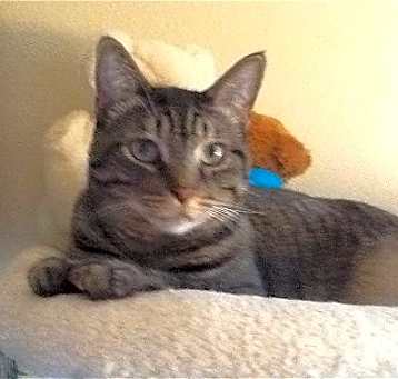Photo of Spunky