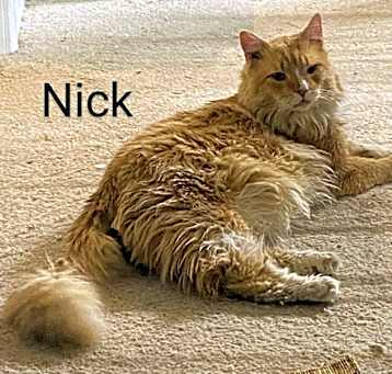 Photo of Nick